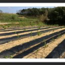 다소농장 이미지