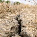 시에스타 이미지