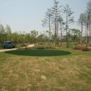 대화파크 이미지