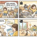 애니멀바이오케어 네이버블로그