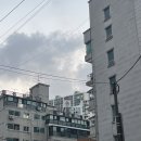 명진카오토프라자 이미지