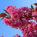 석남완충녹지공원 이미지