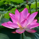 계간문예 사진·디카시 동아리 52차 탐방 후기 이미지