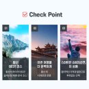 태평여행사