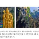 호텔 반딧불이 이미지