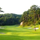 샌드파인 골프클럽 이미지