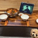 탐스럽개 네이버블로그