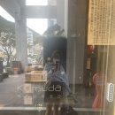 쿠무다레스메종 이미지