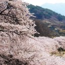 평사드레 이미지