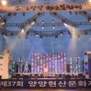 양양문화제 Daum카페