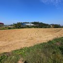 진천IC혁신주유소 이미지