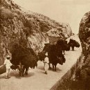 세곡마을회관 | 조선말 생활상(生活相)-1896년 이전(5)