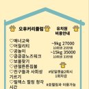 도그 포레스트 네이버블로그