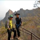 원광약업사 이미지