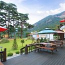 펜션 숲 이미지