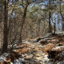 초정민박 | 등린이가 다녀온 ‘소백산 비로봉 등산코스’ 3월15일 등반 후기!