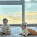삼남농협삼동지점 | 남해 두 가족 여행 숙소 [그리즐리 키즈풀빌라]