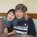 미농식당 Daum카페