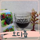 설산소리 | 설산소리 착즙 오디생즙 엑기스 마셔본후기
