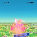 보라세탁소 이미지