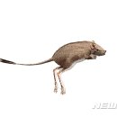 리서치포유