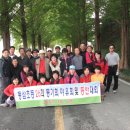동삼 이미지