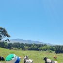 준이목장 이미지