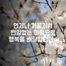 예쁜글 이미지