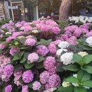 와우사우나 이미지