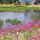 황룡강변2 이미지