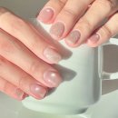 (주)에이치케어 | 대전 둔산동네일샵 에이치네일 자석젤 후기