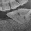 박경수치과의원 이미지