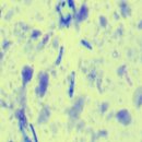 삼성펫클리닉 이미지