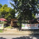 솔밭공원2 이미지