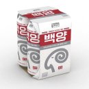 백양 메리야스 이미지