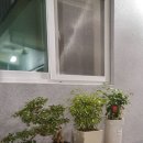 도깨비 여관 이미지