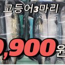 토마토마트 - 용인시 수지구 손곡로 95 | 토마토마트