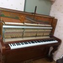 르네상스음악학원 이미지