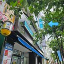 [초등1~3] 출발 독서보드게임 | 전주 보드게임카페 전북대 놀거리 가성비 좋은 전북대 마실