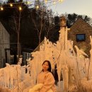 힐스토리 애견 동반 펜션 네이버블로그