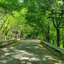 진주에나길 2코스 이미지