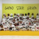 가모스타그램 이미지