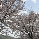 조은노인전문요양원 | 김해요양원 추천 어르신들의 진정한 낙원, 덕인노인전문요양원 방문기