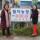 필자농장 이미지