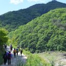 품걸리오지마을길(봄내길 6코스) 이미지