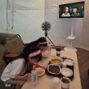 힐링캣 | [음성]가족과 함께 즐기는 힐링 공간 &#34;쵸이캣&#34; 멀티 고양이 카페 방문 후기