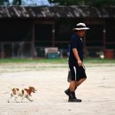 파로호느릅마을영농조합법인 이미지