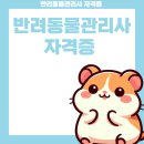 반려동물관리사과정 | 반려동물관리사 자격증 하는일 취득과정 합격 후기