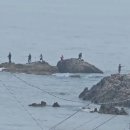 바다향기ing독채펜션 이미지