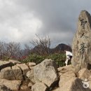 울릉이당 이미지